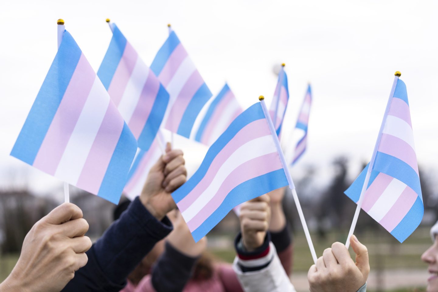 People holding transgender flags