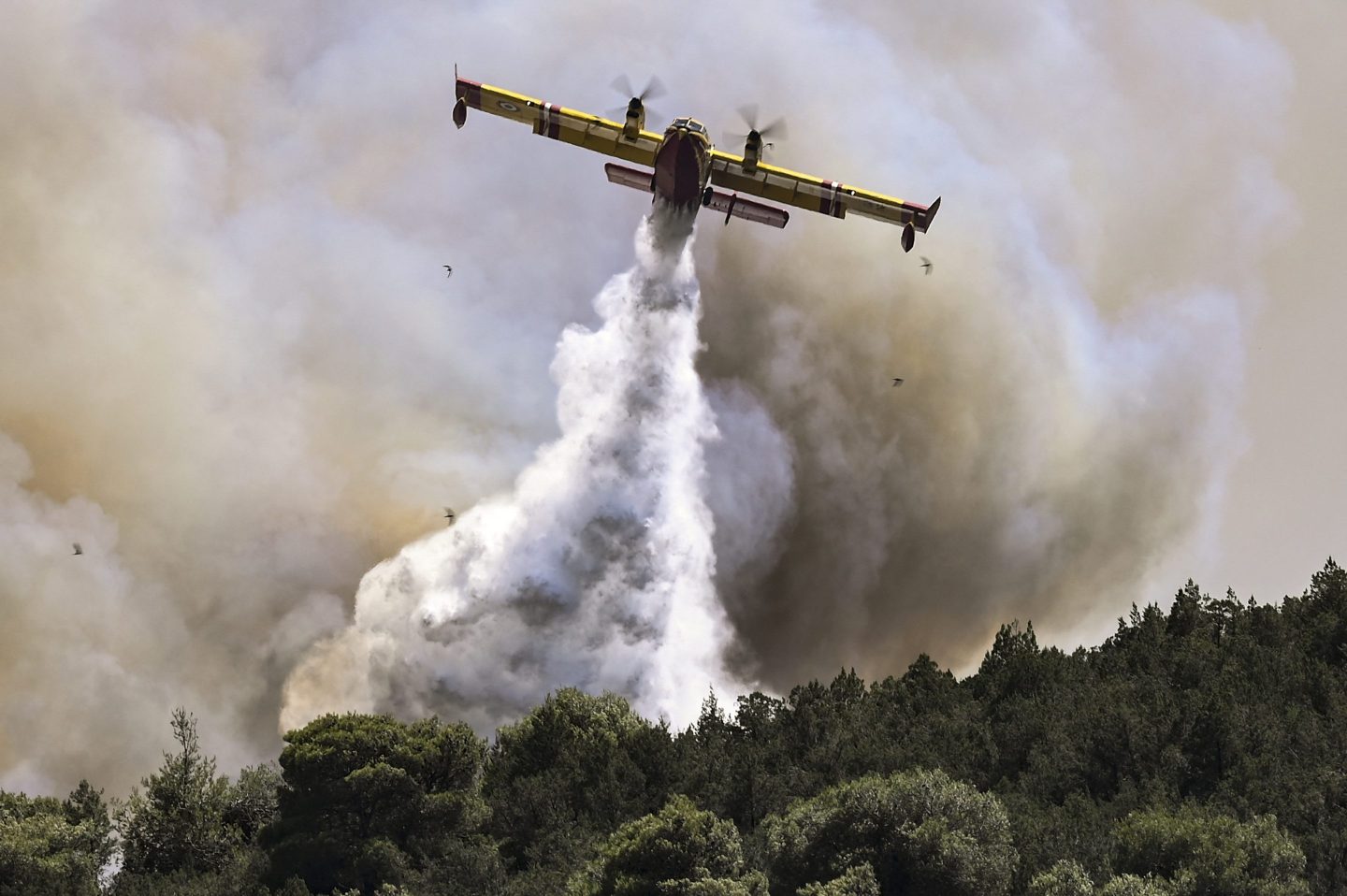 A Canadair firefighting plane sprays water during a fire in Dervenochoria, north-west of Athens, on July 19, 2023. Extreme heat was forecast across the globe on July 19, 2023, as wildfires raged and health warnings were in place in parts of Asia, Europe and North America. Firefighters battled blazes in parts of Greece and the Canary Islands, while Spain issued heat alerts and some children in Italy&#039;s Sardinia were told to stay away from sports. (Photo by Spyros BAKALIS / AFP) (Photo by SPYROS BAKALIS/AFP via Getty Images)